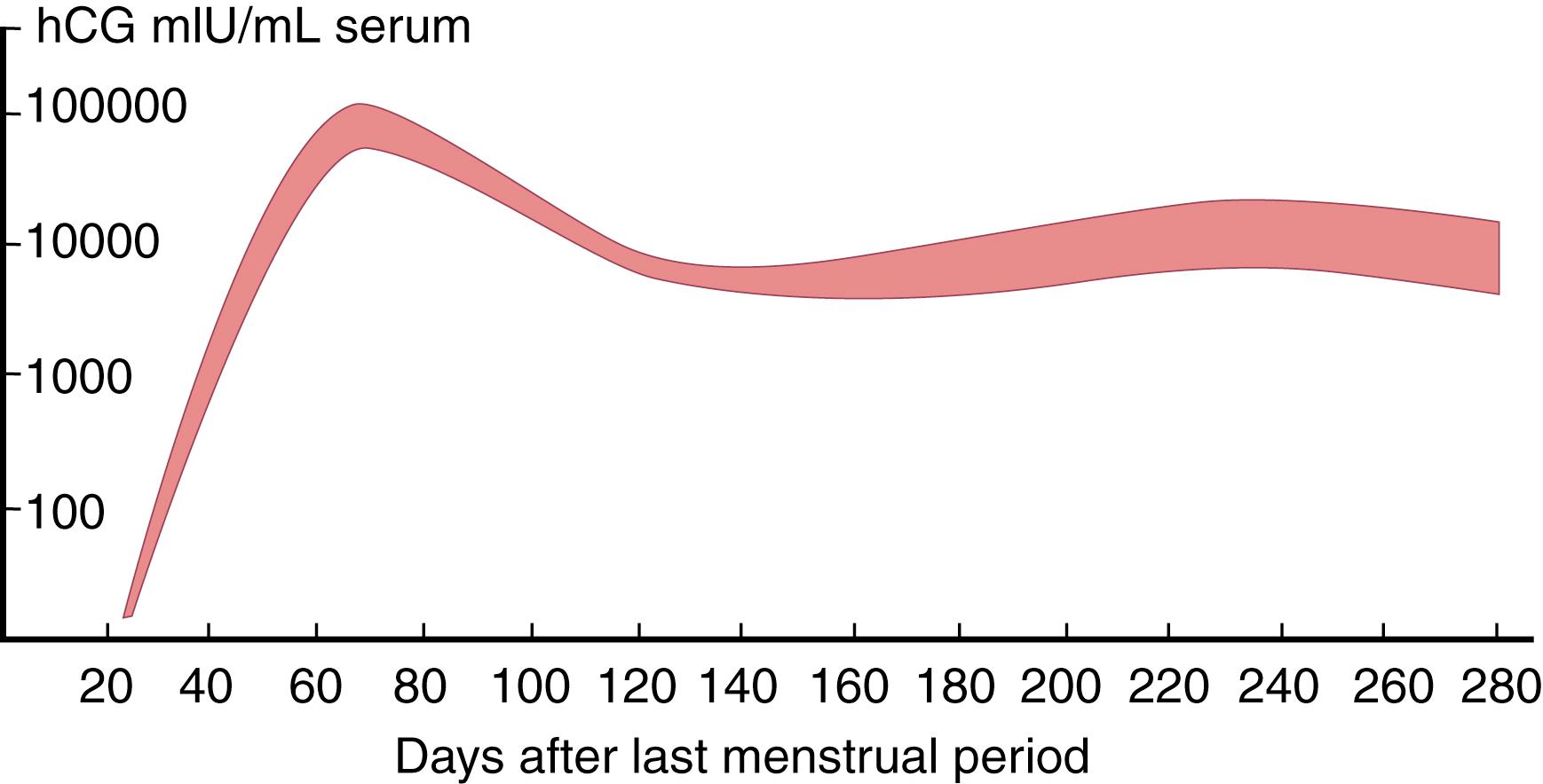 Figure 26.5, Serum hCG levels during normal pregnancy. hCG, Human chorionic gonadotropin.