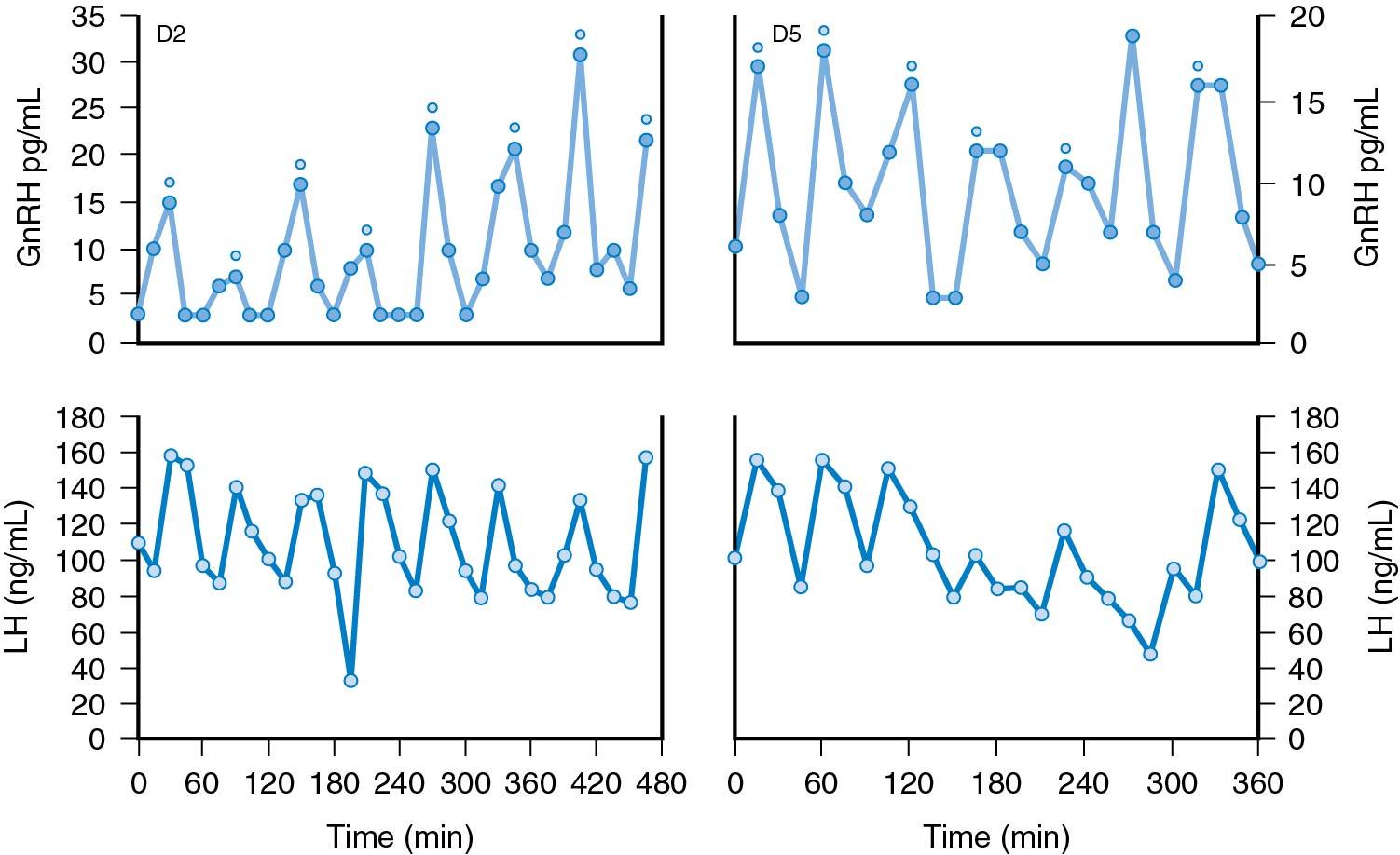 Fig. 4.3, GnRH release by the hypothalamus is pulsatile. Shown in the upper panel are hourly GnRH pulses over an 8-hour period in an ovariectomized monkey in the absence of ovarian steroid modulation. Note the concordance of LH pulses (lower panel). GnRH, Gonadotropin-releasing hormone; LH, luteinizing hormone.