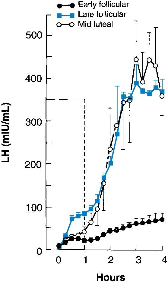 Fig. 4.5, GnRH pulses of similar amplitude elicit greater overall gonadotropin responses during the late follicular phase and luteal phase when estradiol levels are highest, but they elicit lower responses during the early follicular phase when estradiol levels are lowest. Note also a greater early response in the late follicular phase, denoting greater LH reserves under the effect of estradiol. GnRH, Gonadotropin-releasing hormone; LH, luteinizing hormone.