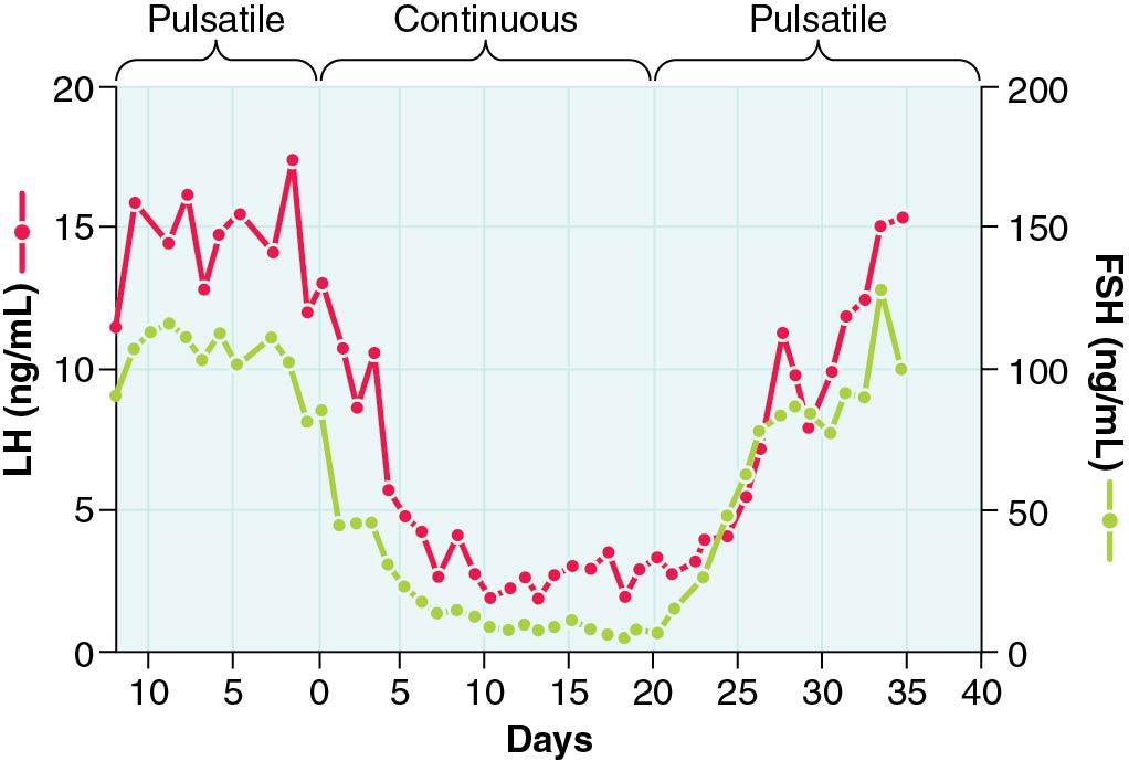 Fig. 4.7, Gonadotropin-releasing hormone (GnRH) release in a pulsatile mode is required for a normal pituitary gonadotropin response. An experiment was performed in a monkey lacking endogenous GnRH and infused with hourly pulses of GnRH (left and right panels) or with a continuous GnRH infusion (center panel). LH, Luteinizing hormone.