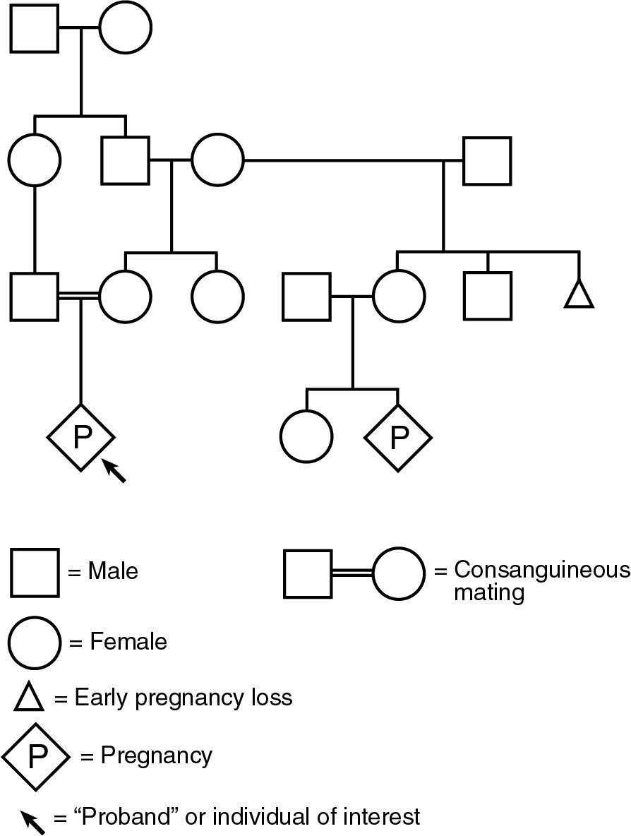 Fig. 2.3, Standard figures and nomenclature for a pedigree.