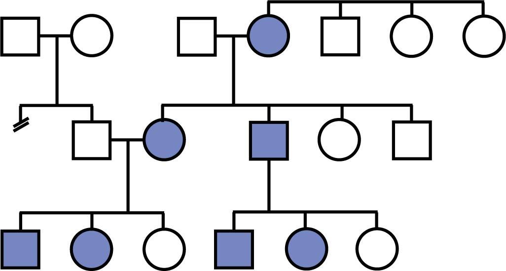 Fig. 2.4, Example of autosomal dominant inheritance.