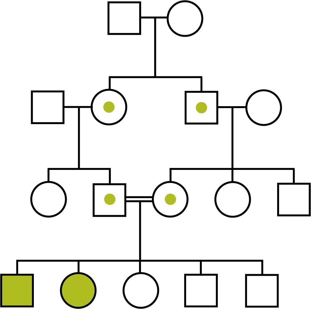 Fig. 2.5, Pedigree illustrating autosomal recessive inheritance. Here the parents of the affected children are first cousins, as denoted by the double line connecting them.