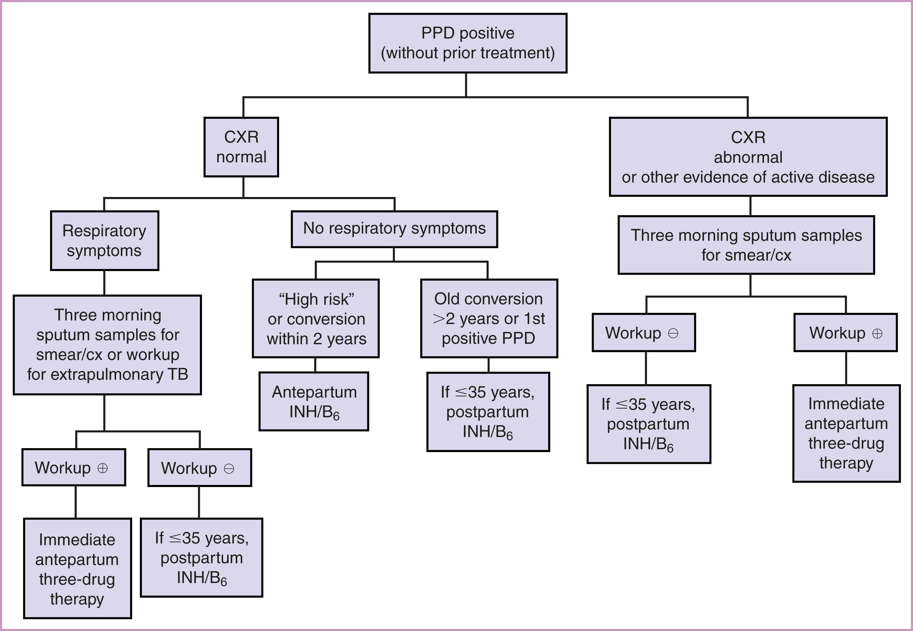 Figure 58.9, Algorithm for the management of a patient with a positive purified protein derivative (PPD) result.