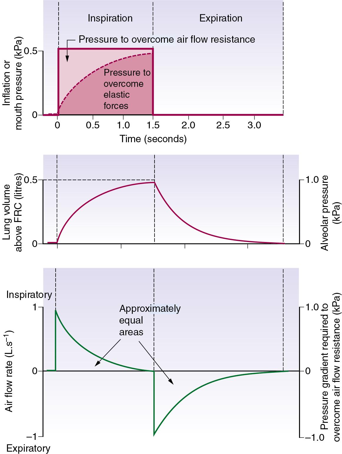 • Fig. 32.1, Artificial ventilation by intermittent application of a constant pressure (pressure-controlled ventilation) followed by passive expiration. Inspiratory and expiratory flow rates are both exponential. Assuming that air flow resistance is constant, it follows that flow rate and pressure gradient required to overcome resistance may be shown on the same graph. Lung volume and alveolar pressure may be shown on the same graph if compliance is constant. Values are typical for an anaesthetized, supine, paralysed patient: total dynamic compliance, 0.5 L.kPa −1 (50 mL.cmH 2 O −1 ); pulmonary resistance, 0.3 kPa.L −1 .s (3 cmH 2 O.L −1 .s); apparatus resistance, 0.7 kPa.L −1 .s (7 cmH 2 O.L −1 .s); total resistance, 1 kPa.L −1 .s (10 cmH 2 O.L −1 .s); time constant, 0.5 seconds.