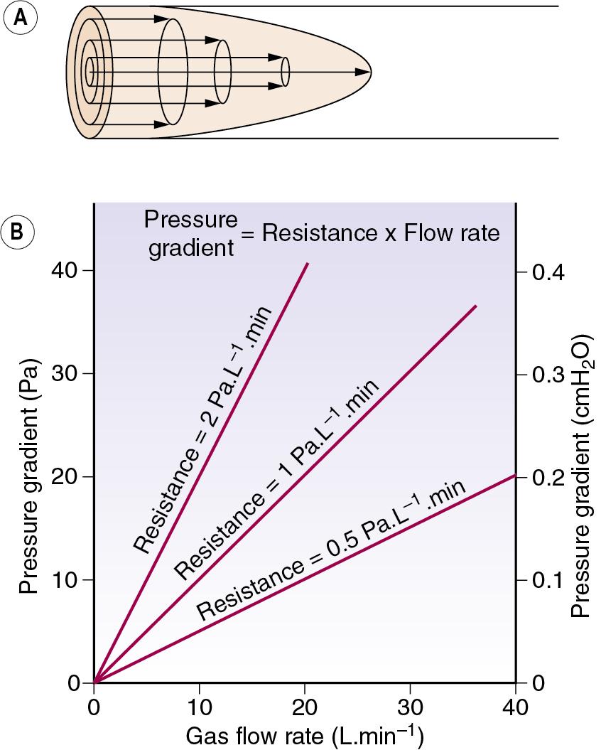 • Fig. 3.2, Laminar flow. (A) In laminar flow gas moves along a straight tube as a series of concentric cylinders of gas with the central cylinder moving fastest and the outside cylinder theoretically stationary. This gives rise to a ‘cone front’ of gas velocity across the tube. (B) The linear relationship between gas flow rate and pressure gradient. The slope of the lines indicates the resistance (1 Pa = 0.01 cmH 2 O).