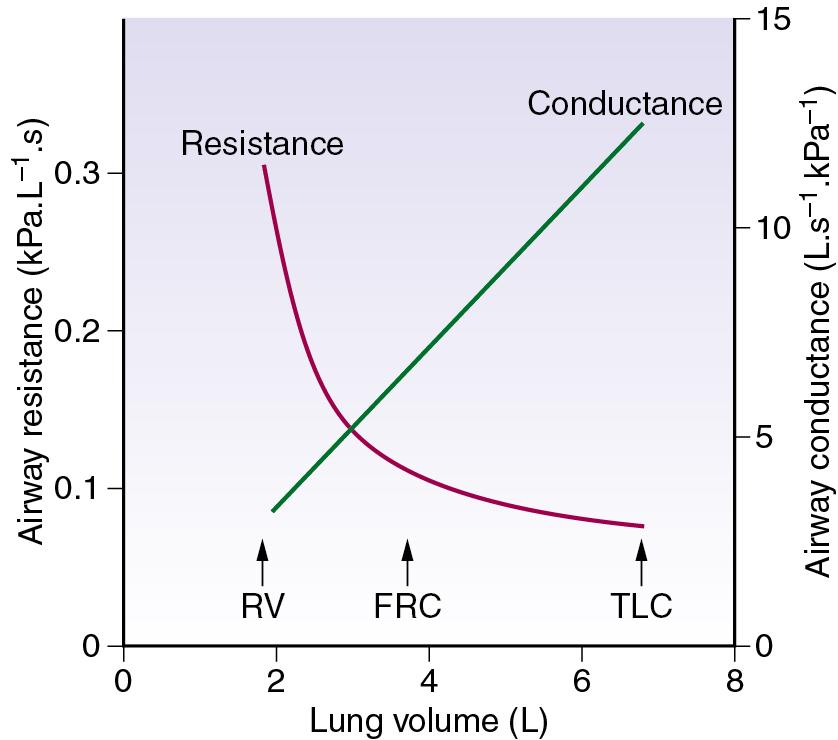 • Fig. 3.5, Airway resistance and conductance as a function of lung volume (upright posture). The resistance curve is a hyperbola. Specific conductance (sG aw ) is the gradient of the conductance line. FRC , Functional residual capacity; RV , residual volume; TLC , total lung capacity.