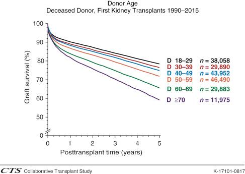 Fig. 39.2, Effect of donor age on graft outcome. Donor age and graft survival of first deceased donor kidney transplants, 1990 to 2015, in Europe.