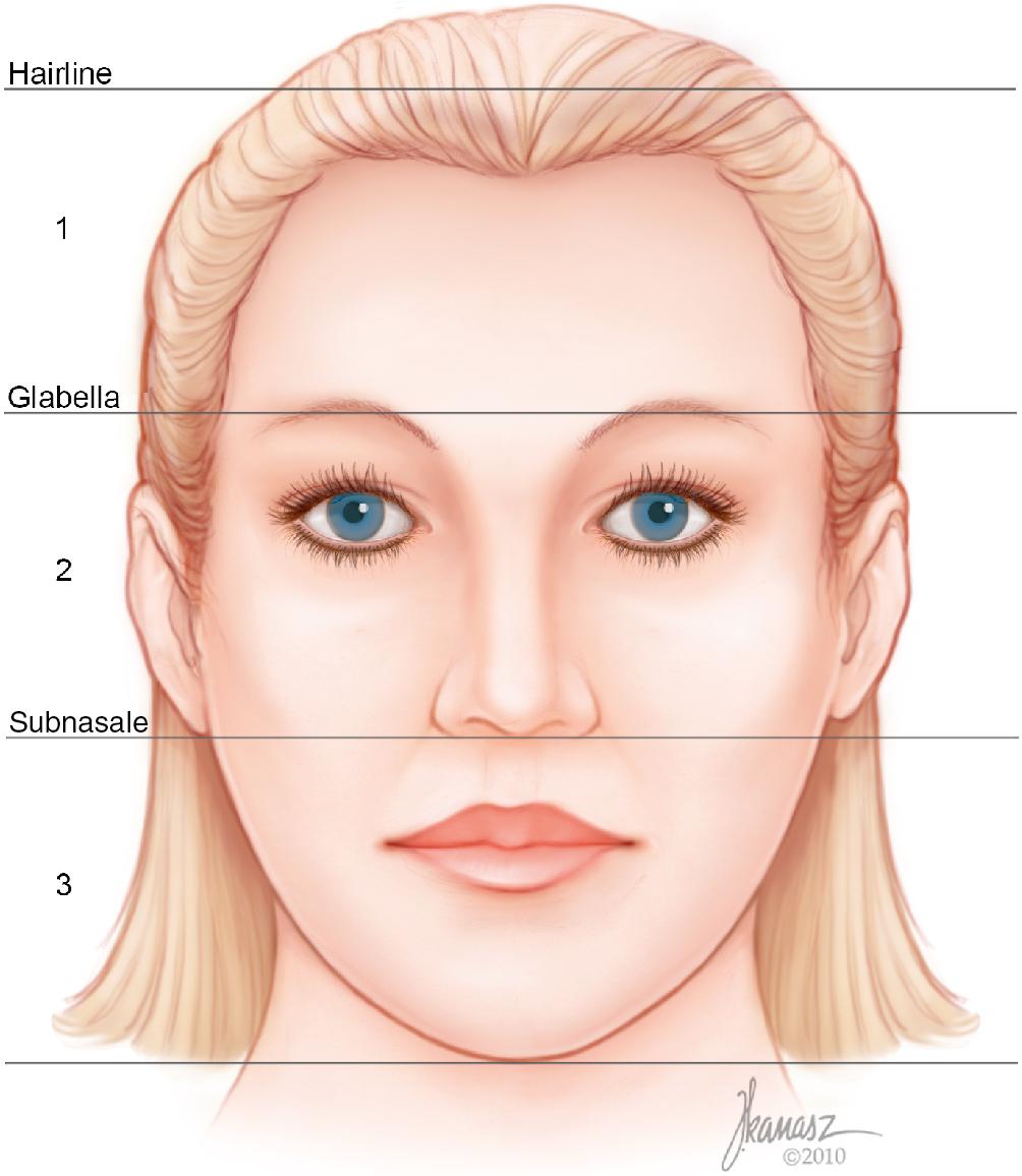 Fig. 28.1, Division of the face into three zones for an organized review.