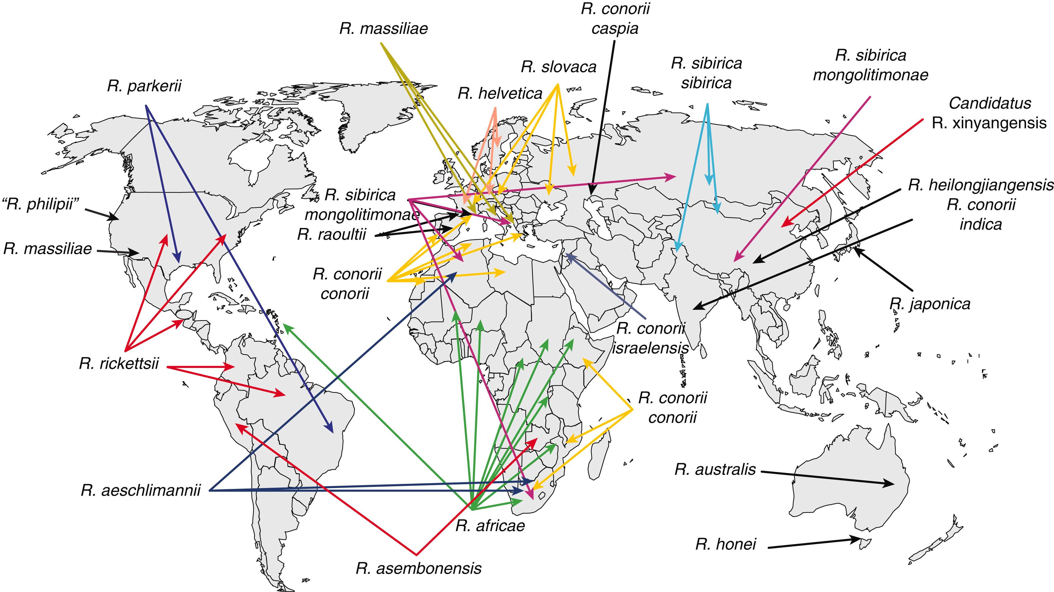 FIGURE 302-4, Geographic distribution of tick-borne rickettsioses.