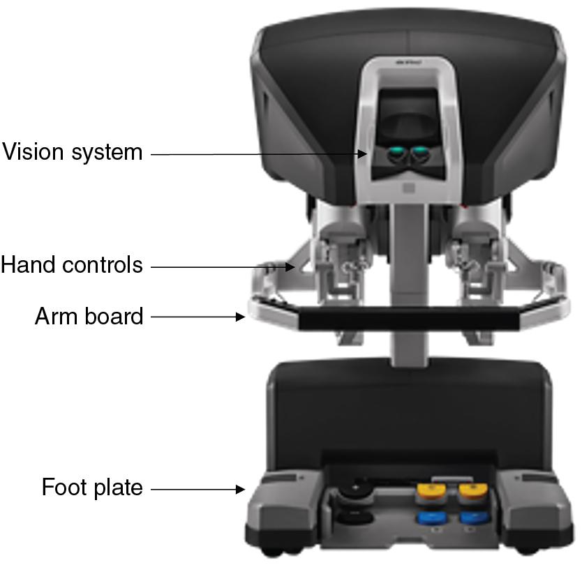 Fig. 3.2, Surgeon Console.