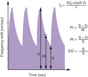 FIG 22-2, Doppler indices commonly used in obstetric imaging. c, constant related to the medium in which the sound is traversing; D, diastole; M, mean; PI, pulsatility index; RI, resistance index; S, systole.