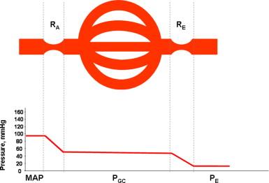 Figure. 86.1, Schematic representation of the glomerular microcirculation. MAP, mean arterial pressure; R A , afferent arteriolar resistance; R E , efferent arteriolar resistance; P GC , glomerular hydraulic pressure; P E , hydraulic pressure at the end of the efferent arteriole.