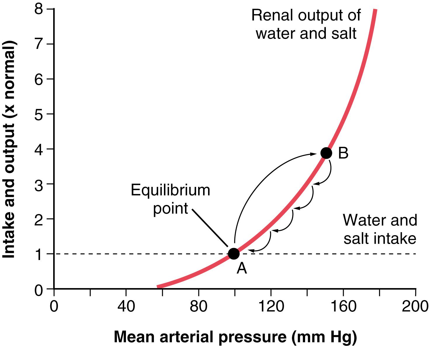 Figure 19-1., A typical arterial pressure–renal urinary output curve measured in a perfused isolated kidney, showing pressure diuresis when the arterial pressure rises above normal (point A) to approximately 150 mm Hg (point B). The equilibrium point A describes the level to which the arterial pressure will be regulated if intake is not altered. (Note that the small portion of the salt and water intake that is lost from the body through nonrenal routes is ignored in this and similar figures in this chapter.)