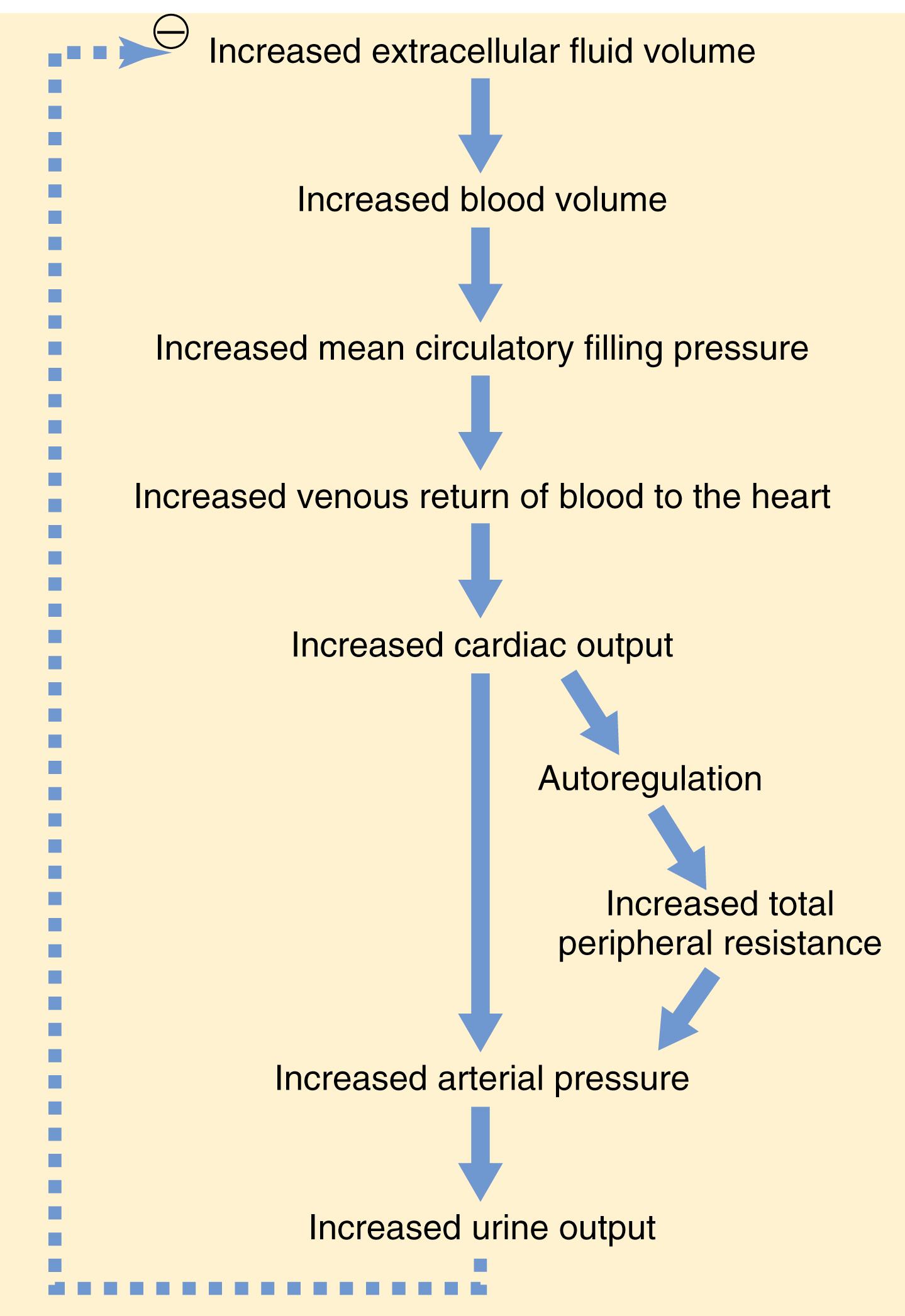 Figure 19-6., Sequential steps whereby increased extracellular fluid volume increases the arterial pressure. Note especially that increased cardiac output has both a direct effect to increase arterial pressure and an indirect effect by first increasing the total peripheral resistance.