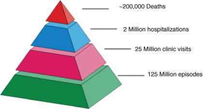 Figure 14.2, Global burden of rotavirus disease.