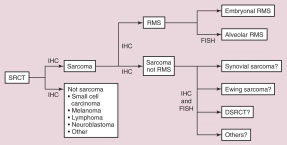 Figure 8.1, Diagnostic Algorithm for Round Cell Sarcomas.