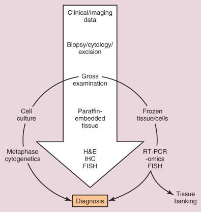 Figure 8.2, How to Handle Samples of Small Round Cell Tumors.