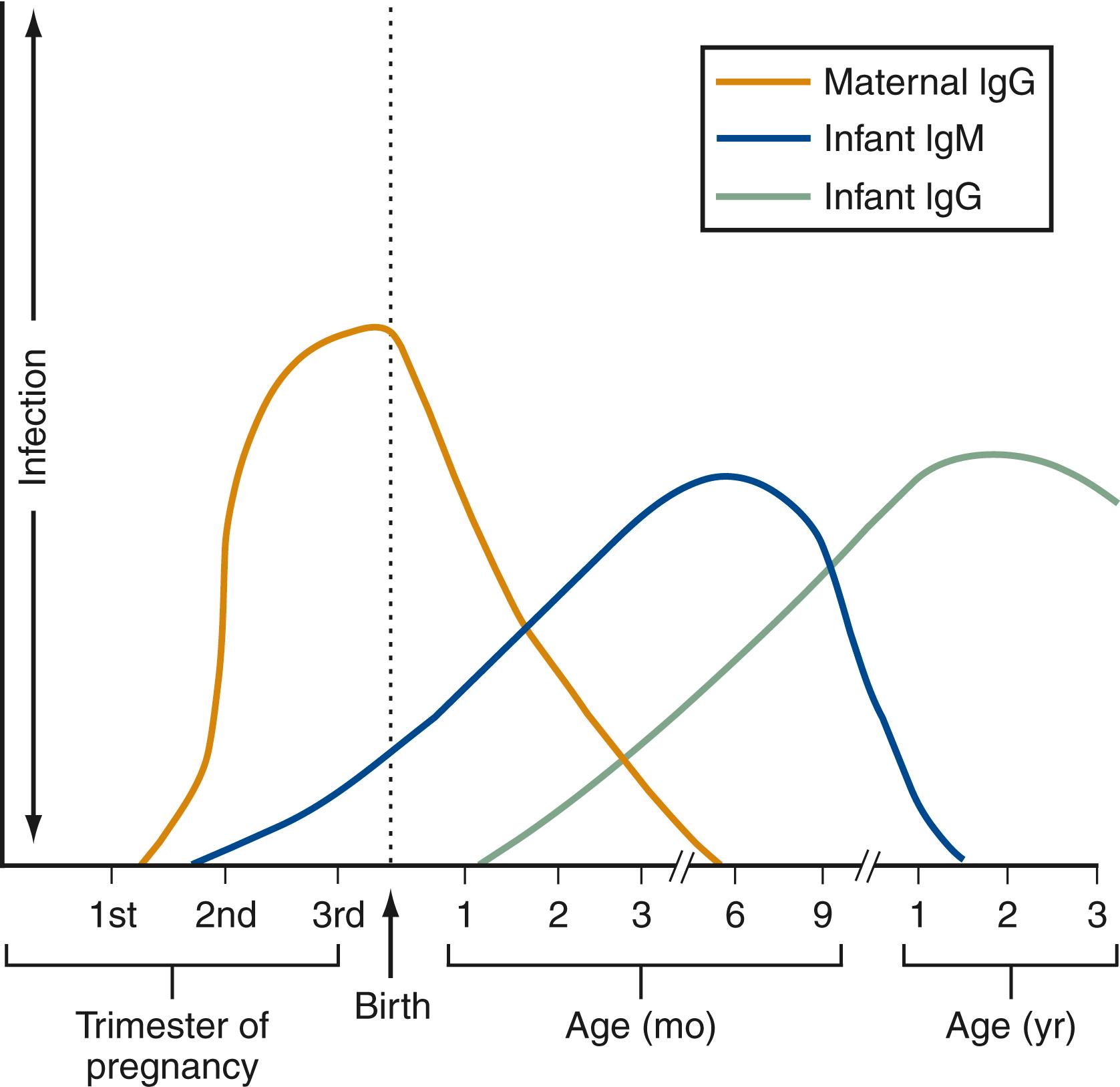 Fig. 221.1, Immune responses in congenitally acquired rubella after maternal infection in the first trimester of pregnancy. IgG, immunoglobulin G; IgM , immunoglobulin M.