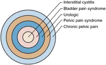 Figure 123.1, Conceptualization of nomenclature for pelvic pain syndrome ( Hanno, 2008 ).