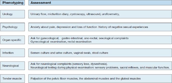 Figure 123.2, The UPOINT system to phenotype pelvic pain ( Engeler et al., 2014 ).