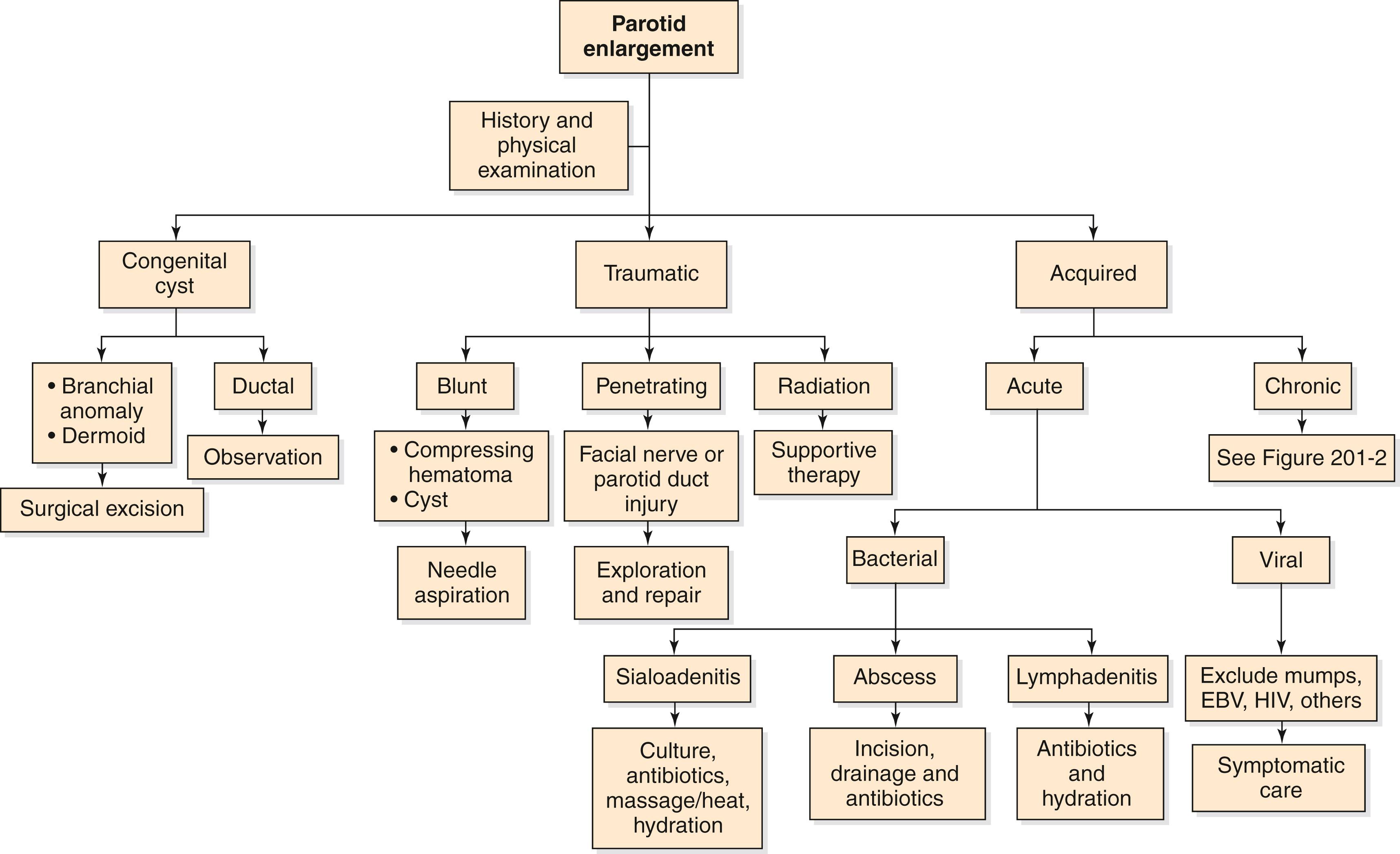 Fig. 24.1, Algorithm for differential diagnosis and approach to congenital and acute acquired parotid enlargement. EBV, Epstein-Barr virus; HIV, human immunodeficiency virus.