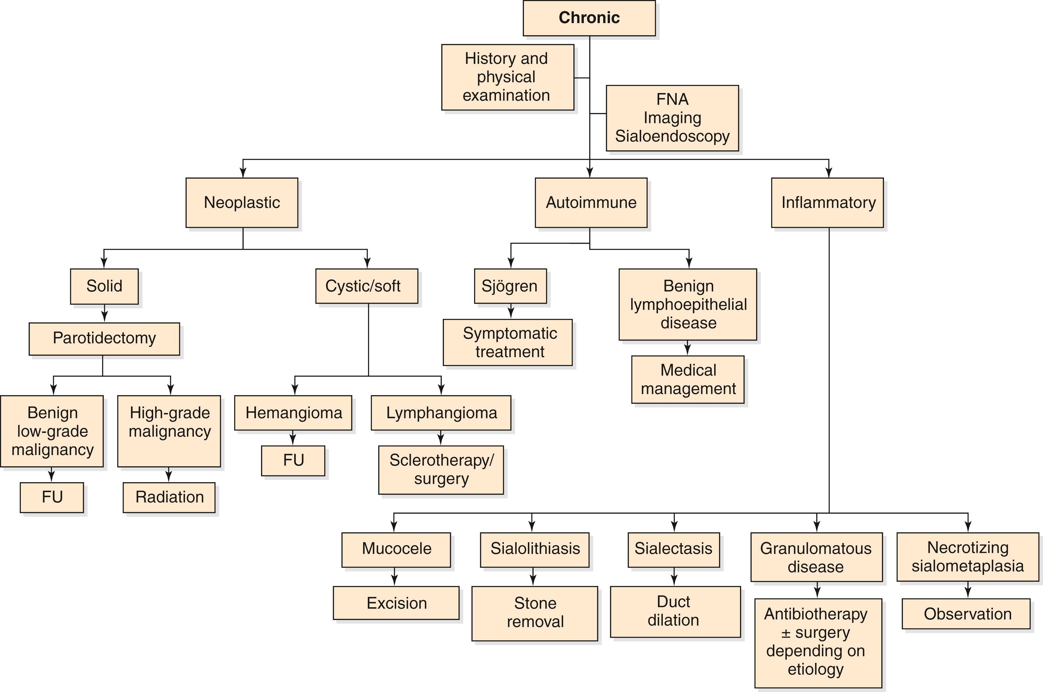 Fig. 24.2, Algorithm for differential diagnosis and approach to chronic acquired parotid enlargement. FNA, Fine-needle aspiration; FU, follow-up.