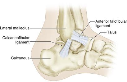 FIG. 66.2