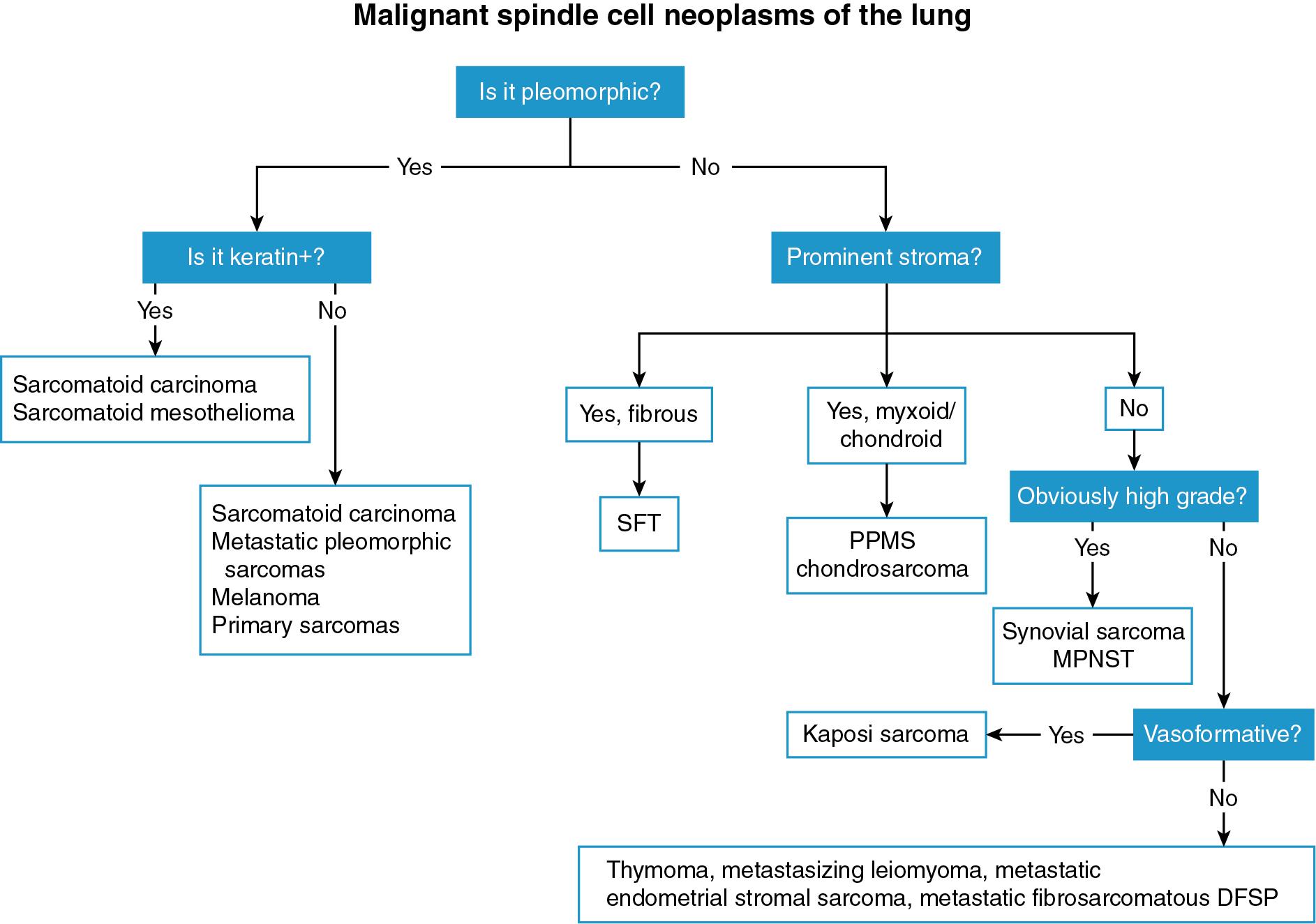 Figure 15.1, Algorithmic approach to the diagnosis of spindle cell malignancies in the lung, based on tumor cytomorphology (pleomorphic vs. monomorphic), presence of cytokeratin expression, presence of prominent stromal elements, and other general morphologic features. DFSP , Dermatofibrosarcoma protuberans; MPNST , malignant peripheral nerve sheath tumor; PPMS , primary pulmonary myxoid sarcoma; SFT , solitary fibrous tumor.