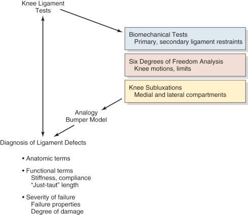 FIG 3-1, The results of clinical tests require specific biomechanical and kinematic principles for correct diagnosis of ligament defects. Ligament defects are defined by anatomic, functional, and severity categories.