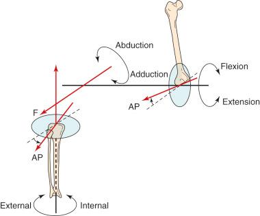 FIG 3-3, The three joint rotations in the knee joint. Flexion/extension occurs about the medially and laterally oriented axis in the femur. Internal and external tibial rotation occurs about an axis parallel to the shaft of the tibia. Abduction occurs about a third axis parallel to the femoral sagittal plane and also through the tibial transverse plane.