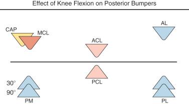 FIG 3-6, Effect of knee flexion on posterior bumpers. After loss of the posterior cruciate ligament (PCL) and as the knee is flexed, the posterior capsular structures become slack, allowing increased tibial displacement before they limit posterior translation. This is shown in the model by the more posterior position of the posteromedial (PM) structures and posterolateral (PL) structures bumpers at 90 degrees compared with 30 degrees of knee flexion. ACL , Anterior cruciate ligament; AL , anterolateral restraints; CAP , capsule; MCL , medial collateral ligament; PM, posteromedial structures.