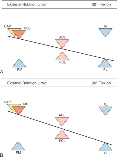 FIG 3-8, Limits to external rotation. A, At 30 degrees of flexion, the external rotation of the tibia is limited by the bumpers that stop anterior translation of the medial plateau and posterior translation of the lateral plateau. Owing to the position of the structures, there is no direct involvement of either the anterior cruciate ligament (ACL) or posterior cruciate ligament (PCL) in limiting external rotation. B, At 90 degrees of flexion, the posterior bumpers are moved posterior, reflecting the increased slack in the posterior capsule. Because of this, the PCL is nearly taut at the limit of external rotation. After removing the posterolateral (PL) restraints, only a small increase in external rotation occurs at this flexion angle. AL, Anterolateral; CAP, capsule; MCL, medial collateral ligament; PM, posteromedial structures.