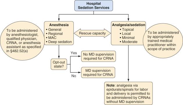 FIGURE 48.5, Centers for Medicare & Medicaid Services organizational chart showing deep sedation under the category of “Anesthesia” and supervised by “Hospital Sedation Services.” CRNA , certified registered nurse anesthetist; MAC , monitored anesthesia care; MD , physician.