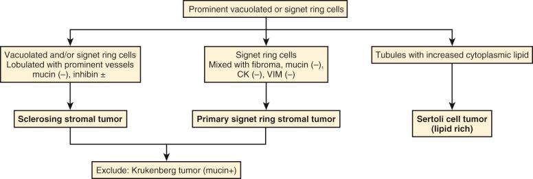 Fig. 27.6, Differential diagnosis of sex cord–stromal tumors with lipid-rich or signet ring cells.