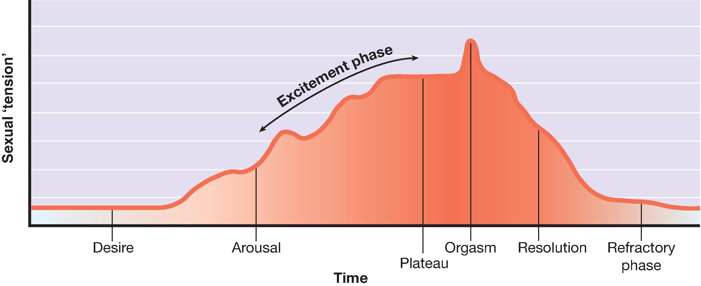 Fig. 19.1, The normal sexual response .