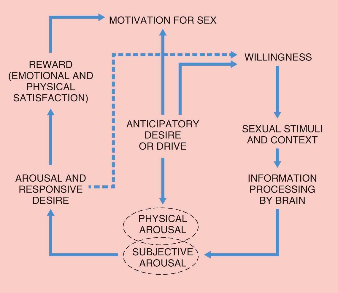 FIGURE 28-1, The circular sexual response cycle illustrating the probability that willingness is the essential first component.