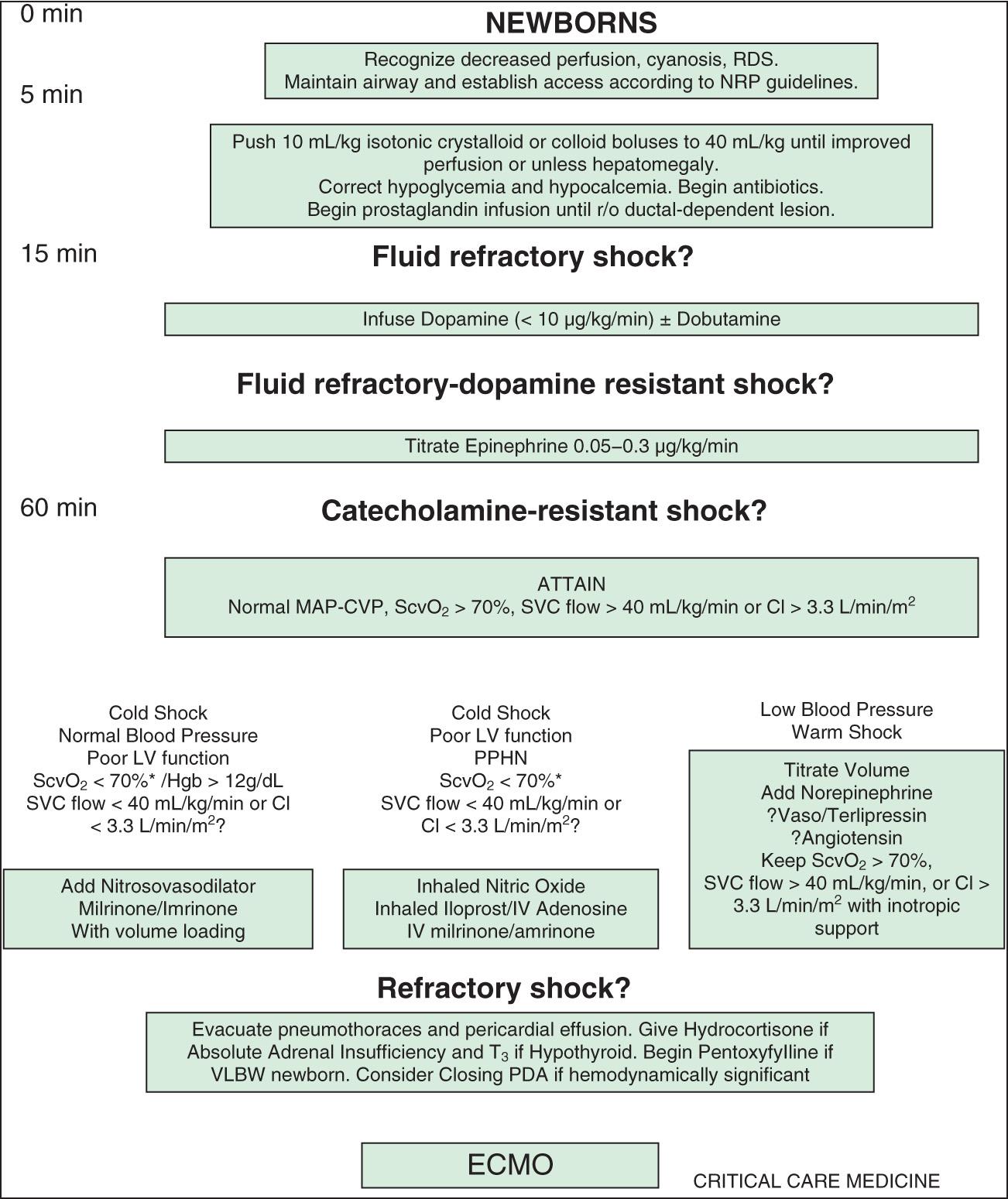Fig. 88.1, American College of Critical Care Medicine algorithm for time-sensitive, goal-directed stepwise management of hemodynamic support in newborns .