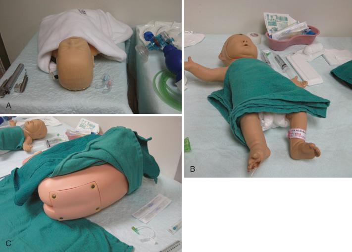 FIGURE 53.1, Examples of partial task trainers to practice (A) intubation in neonates (Laerdal SimNewB, Laerdal Medical, Stavanger, Norway); (B) peripheral intravenous placement (Nita Newborn Model #1800 Infant Venous Access Simulator, VATA, Canby, OR); and (C) central neuraxial techniques (M43C Pediatric Lumbar Puncture Simulator, Kyoto Kagaku, Kyoto, Japan).