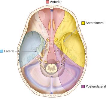Figure 10.1, 360-degree surgical corridors to the central skull base.