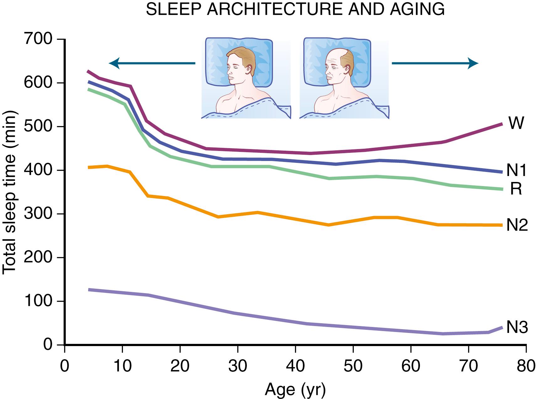 Fig. 101.12, Ontogeny of Sleep.