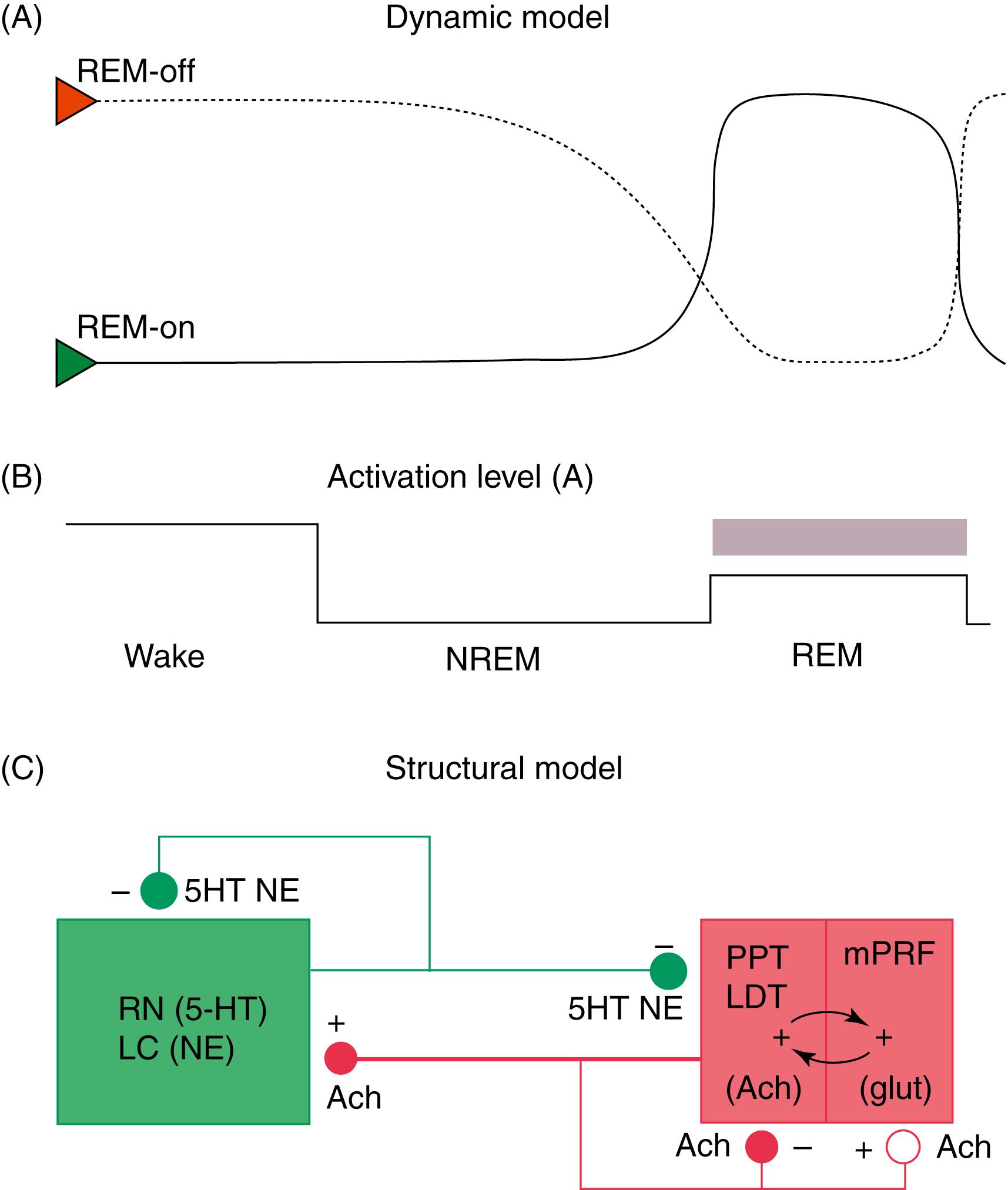 eFig. 101.18, McCarley-Hobson Reciprocal Interaction Model.