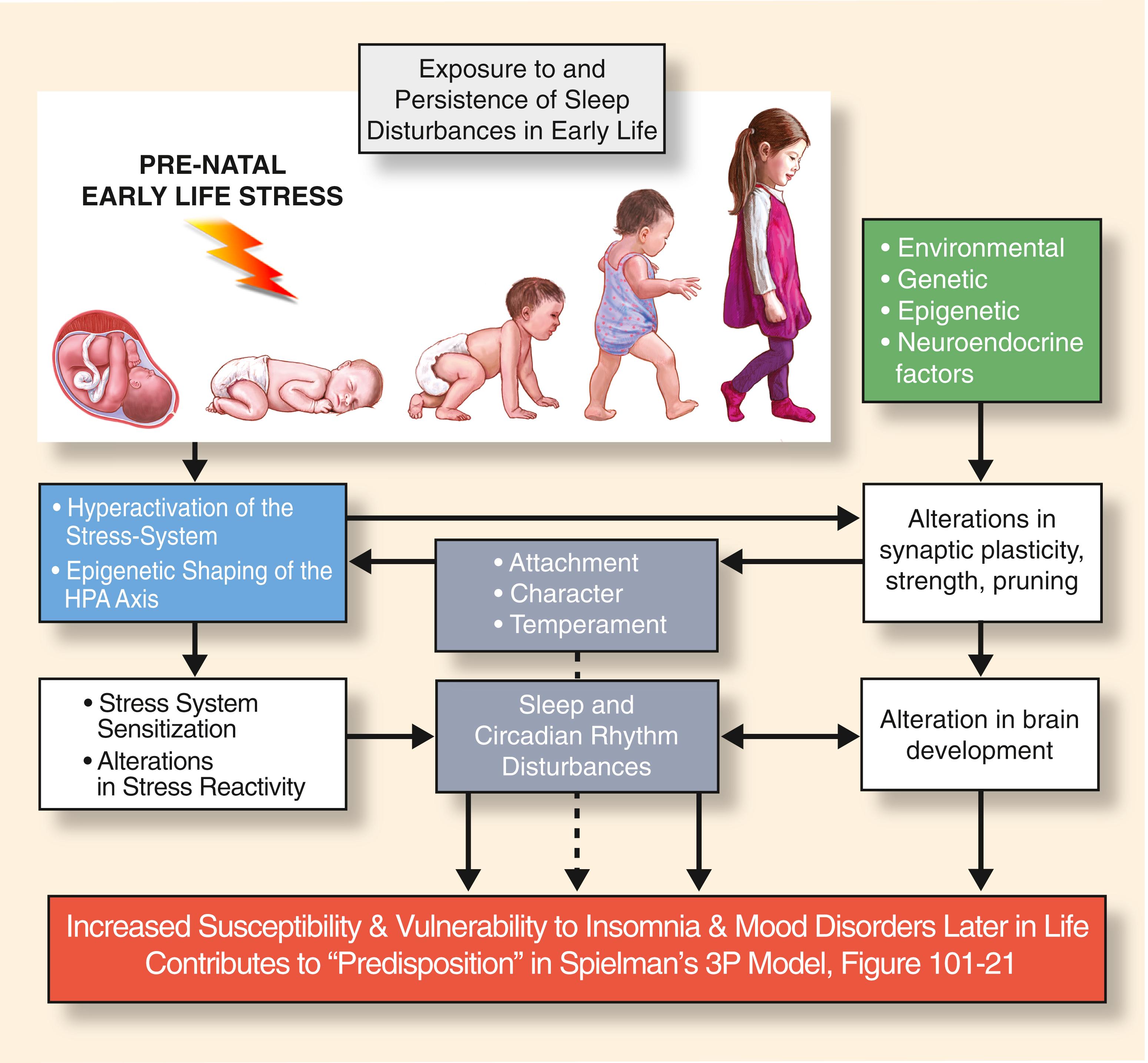 Fig 101.31, Indicators of Hyperarousal in Insomnia Developmental Pathways toward Insomnia and Mood disorders in Adult Life.