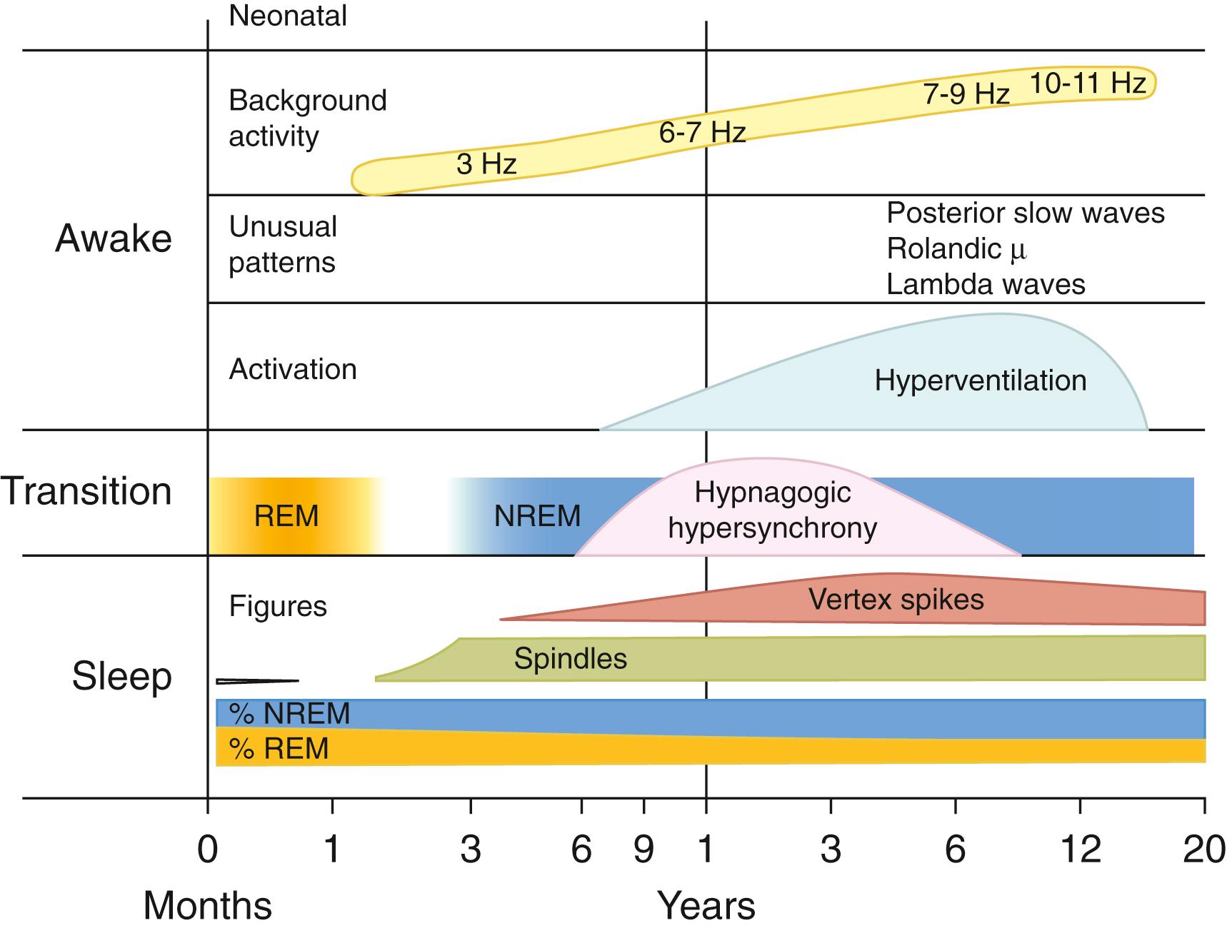 Fig. 101.10, Maturation of the Brain Wave Patterns in Sleep.