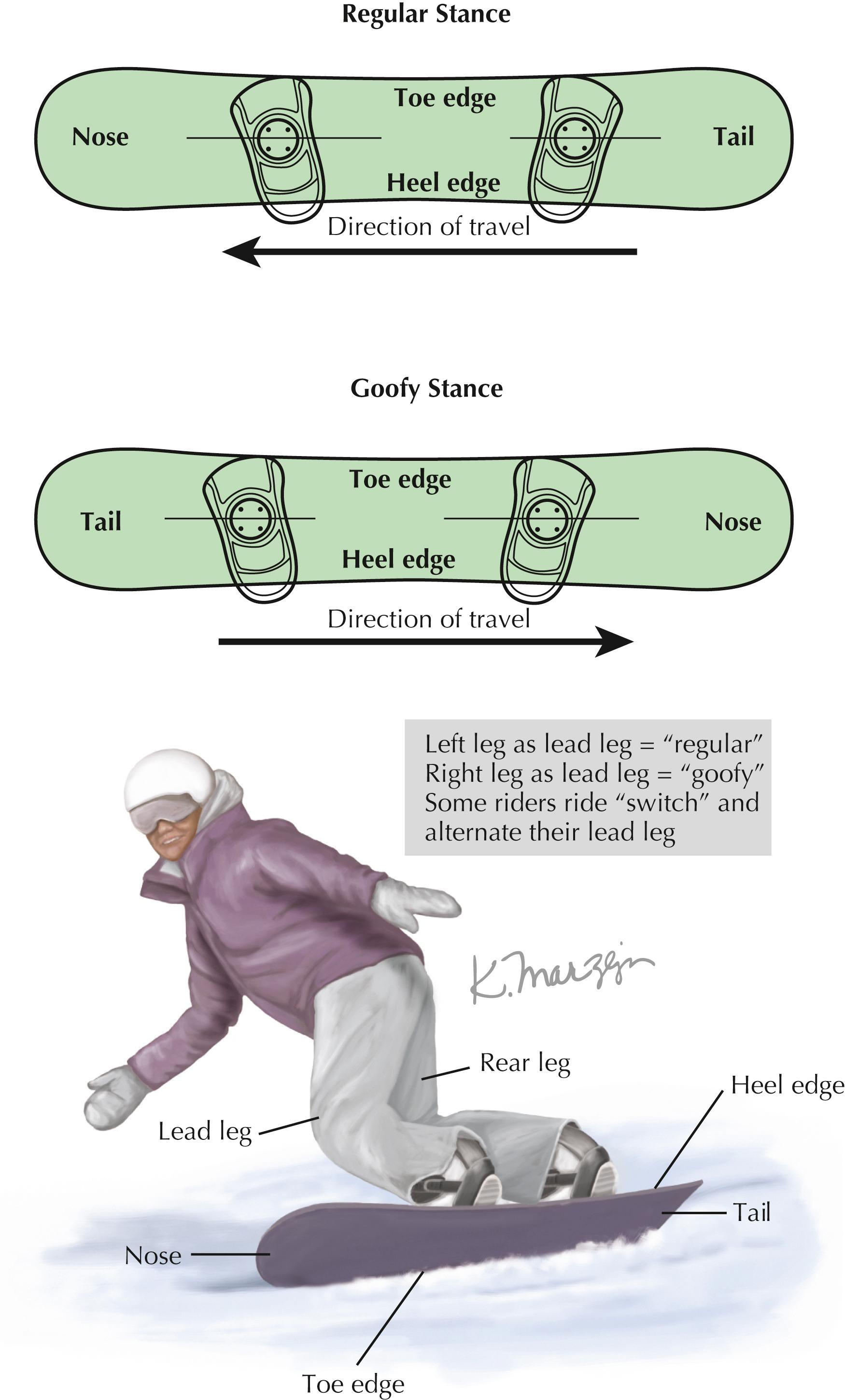 Figure 79.2, Snowboard stance.