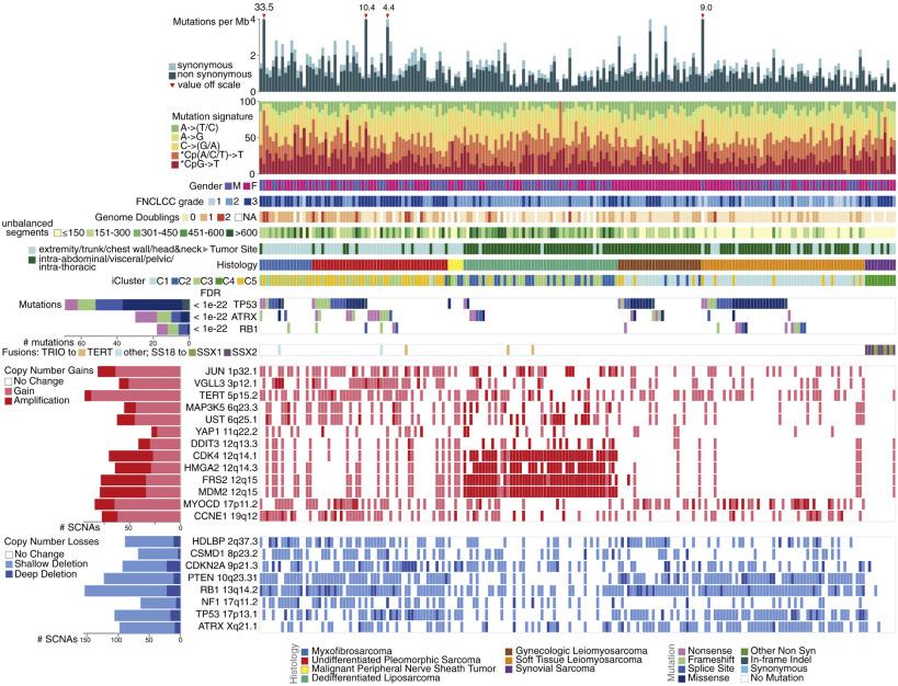 Fig. 75.1, Integrated plot of clinical and molecular features for all samples of adult soft tissue sarcoma, ordered by sarcoma type. From top to bottom panels indicate frequency of mutations per megabase (Mb); mutational signatures, indicating type of substitution; patient gender; sarcoma grade; number of whole genome doublings; number of unbalanced genomic segments; tumor site; sarcoma type; cluster from iCluster analysis; significantly mutated genes, defined by false discovery rate of < 0.05 as computed by MuSiC2; TRIO or SS18-SSX gene fusions; frequent focal somatic copy number alterations, including gains ( pink ), amplification ( red ), shallow deletion ( pale blue ), or deep deletion ( dark blue ). The key to the color coding of sarcomas and mutation types is at the bottom.