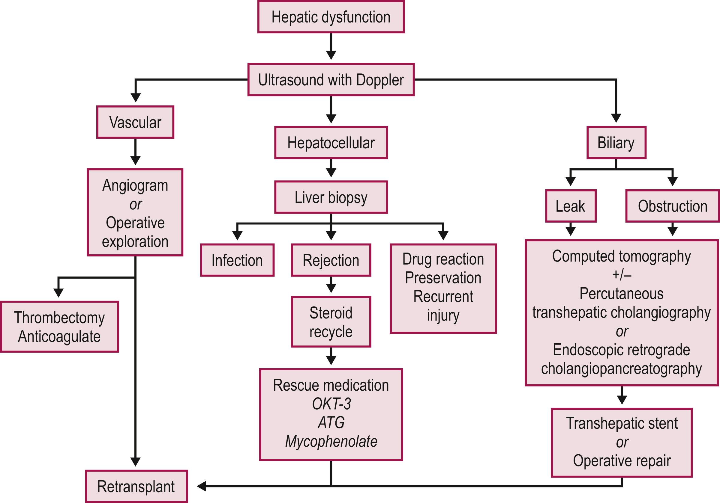 Fig. 45.6, Schematic flow diagram for management of postoperative liver allograft dysfunction. ATG, antithymocyte globulin; OKT-3, monoclonal antibody.