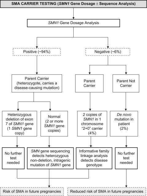 Figure 8.4, SMA carrier testing. This algorithm shows the diagnostic investigation of carrier status in potential carrier parents with SMN1 gene dosage analysis plus/minus sequencing of the SMN1 gene. Rarely, family linkage analysis may need to be employed in informative families, particularly if a deletion mutation has been transmitted more than once from a parent with two copies of SMN1 on gene dosage testing.