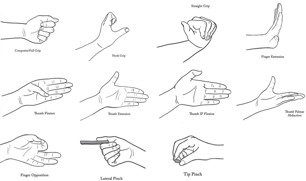 Fig. 5.10.1, Illustrations of upper limb range-of-motion exercises that are suitable to use with patients.