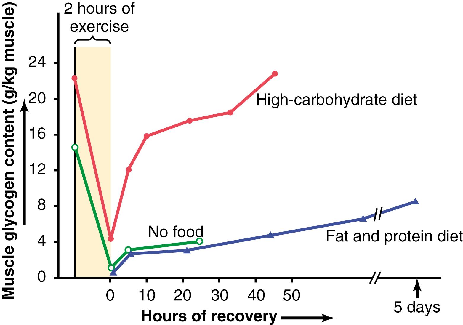 Figure 85-4, The effect of diet on the rate of muscle glycogen replenishment after prolonged exercise.